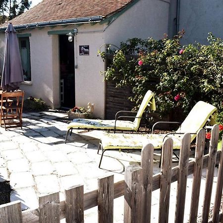 Willa La Taniere Du Loupblanc, 8Mn Du Zoo De Beauval Châteauvieux Zewnętrze zdjęcie